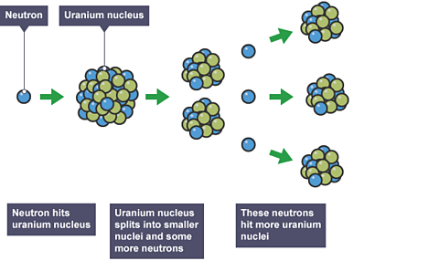 Process of nuclear fission, from a neutron being fired into a uranium nucleus, which splits into smaller nuclei and neutrons, which then hit other uranium nuclei.