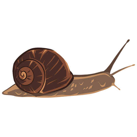 A garden snail