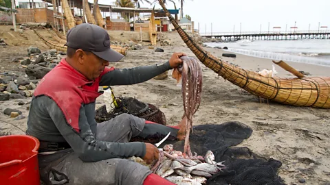 ヘザー・ジャスパー サーフィンを終えて浜辺に戻った漁師たちは、獲物を地域住民と分かち合う（写真提供：ヘザー・ジャスパー）