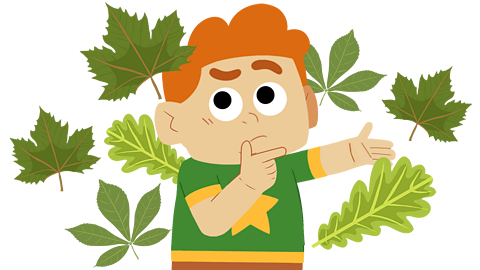 A young boy looking puzzled as leaves fall around him