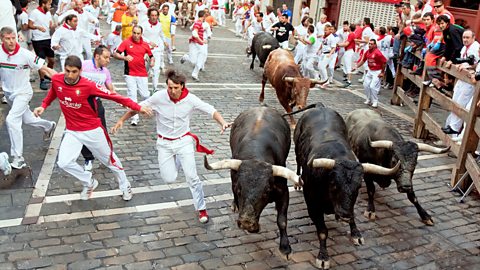 Men wearing white and red running away from bulls in the Pamplona streets