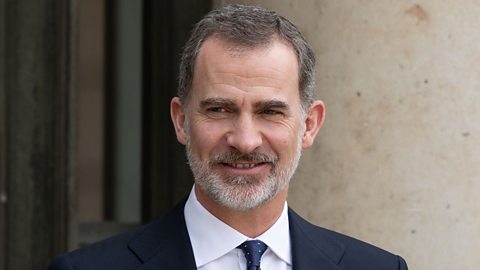 Photo of Felipe VI, king of Spain. He is dressed in a business suit and tie, not wearing a crown in the photo, and has grey hair and a short beard.