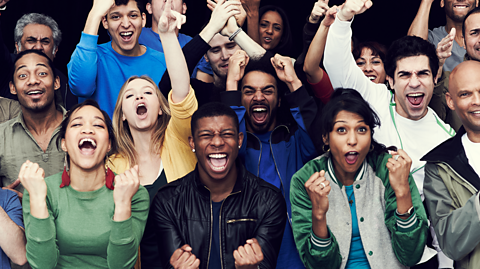 A group of sport fans celebrate 