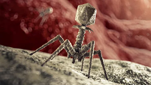 Getty Images We each have a unique phageome constantly interacting with our microbiome (Credit: Getty Images)