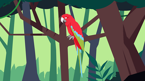 A macaw perched in the branches of a tree