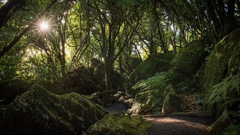 Hairy Feet Waitomo Denize Bluffs in New Zealand’s Mangaotaki Valley provided several LOTR filming locations (Credit: Hairy Feet Waitomo)