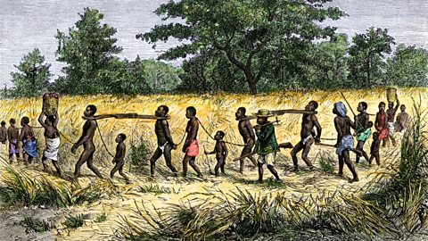 Illustration showing enslaved Africans chained together.