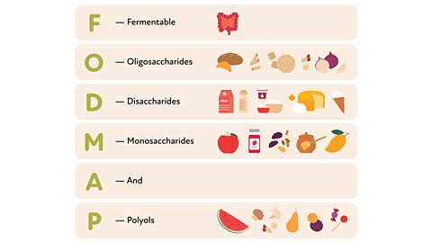 FODMAP graphic showing illustrations of FODMAP foods ( Fermentable - image of ferment, Oligosaccharides images of bread, pizza red onions, garlic, Dissacharides- images of milk, condiments, cake and ice cream, Monosaccharides - images of apple, chilli pepper, honey and lemon And Polyols - images of watermelon, mushrooms, pears and sweets