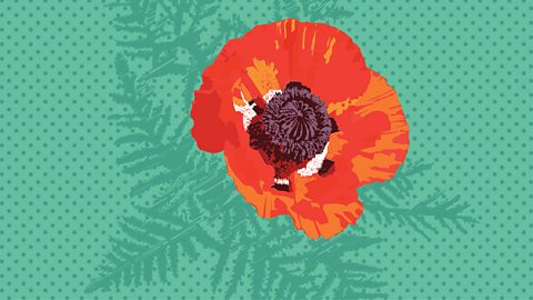 Pop art image of a red poppy with green leaves behind a green background with green dots. 