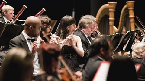 A photo of the woodwind section of an orchestra featuring flutes, clarinets, oboes and bassoons.