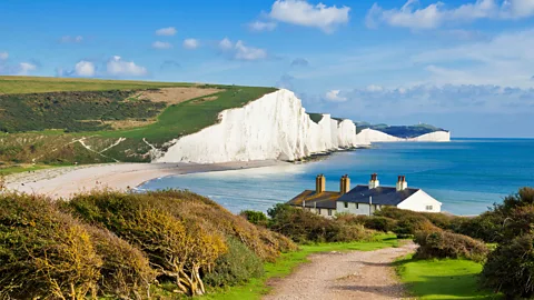 Tanah kapur unik di Sussex menyimpan air dan sangat cocok untuk pembuatan anggur (Kredit: Alamy)