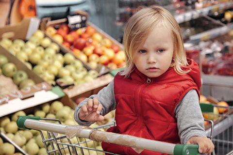 A little girl in a supermarket trolley.