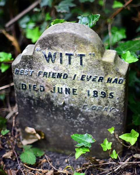 Paul Koudounaris (p33 – the grave of Witt) The gravestones at Hyde Park have suffered from decades of neglect, although the graves themselves are still present (Credit: Paul Koudounaris)