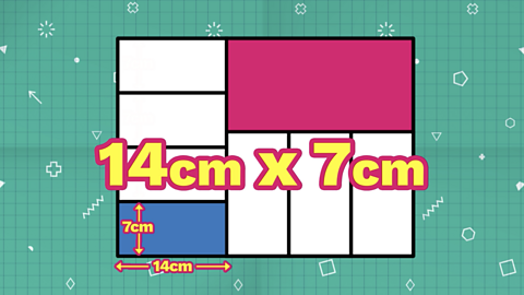 Now we know the width of the blue domino is 7cm, we can double that to find it's length as 14cm.