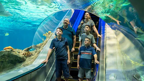 Visit Mesa Autism Travel A family going through a tunnel in Odysea Aquarium (Credit: Visit Mesa Autism Travel)