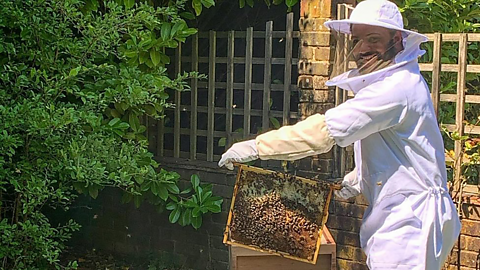 Bee-themed activities for kids and toddlers with JB Gill