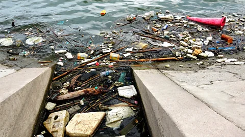 Getty Images Discarded plastic is providing safe breeding grounds for some mosquitoes (Credit: Getty Images)