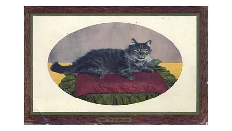 Courtesy of the Edwardian Postcard Project, Lancaster University Painting of a reclining cat (Credit: Courtesy of the Edwardian Postcard Project, Lancaster University)