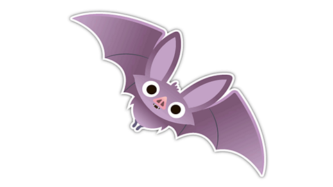 bat