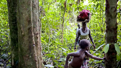 Getty Images Sapo National Park in Liberia is home to one of the last remaining populations of pygmy hippos (Source: Getty Images)