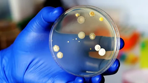 Getty Images Pillows and sheets made damp from sweat provide a perfect environment for some bacteria and fungi to breed (Credit: Getty Images)