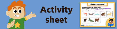 Download the activity sheet