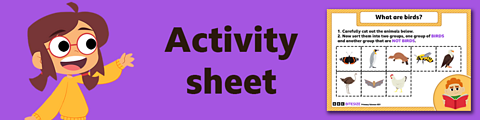 Download the activity sheet