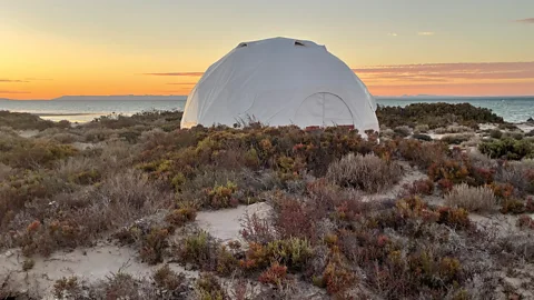 Kathleen Rellihan Pure Baja Travel's base camp is located on the banks of the lagoon (Credit: Kathleen Rellihan)