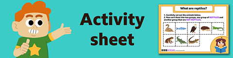 Download the activity sheet