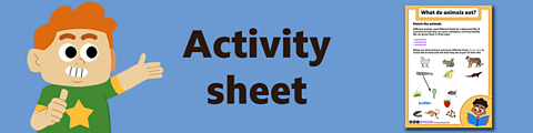 Download the activity sheet