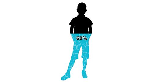 Silhouette of a child with 60% water content.