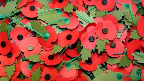 Remembrance Day: Why do people wear poppies?