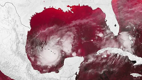 Nasa Earth Observatory Between 6 and 7 October, Hurricane Milton gained strength from hot ocean waters below (Credit: Nasa Earth Observatory)