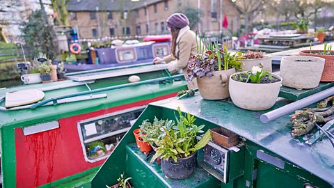 Docked canal boats