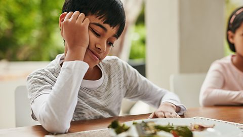 'Fussy eating' and how to avoid mealtime battles