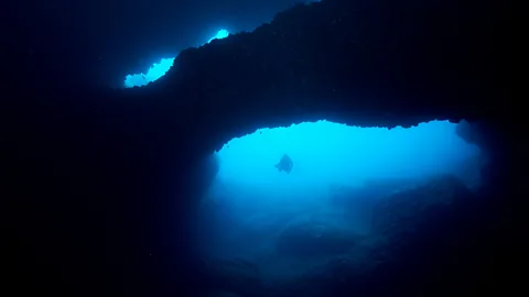 Getty Images On Earth, the effect of sunlight fades as you head deeper into the ocean – yet the black depths support much life (Credit: Getty Images)