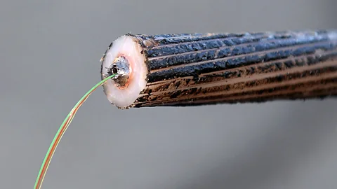 Getty Images Deep-sea cables can double as scientific instruments, giving us insights into life in the ocean (Credit: Getty)