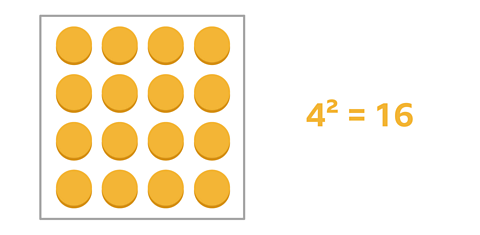 16 counters arranged into 4 rows of 4 counters