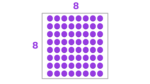 64 counters arranged into a square with 8 rows of 8 counters