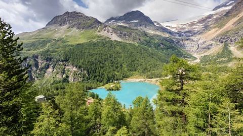 Alamy The scenery around Alp Grüm includes the blue-green Lago Palü that's fed by glacial water from the Palü Glacier (Credit: Alamy)