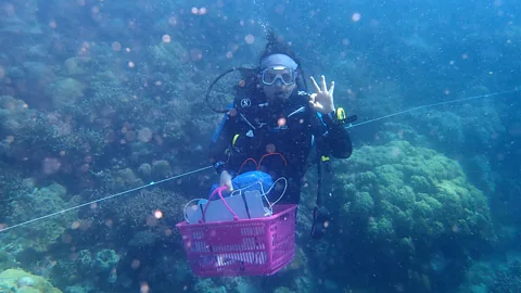 Zarina Wahid, Universiti Sabah Malaysia, una buceadora recolecta fragmentos de coral en los turbios arrecifes de la Bahía Darvill, Malasia.