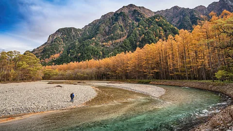 Alamy Autumn fall foliage in Kamikochi Japan (Credit: Alamy)