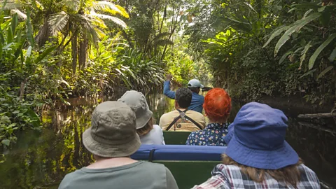 Getty Images Companies now offer expert-led tours that focus on science, conservation and anthropology (Credit: Getty Images)