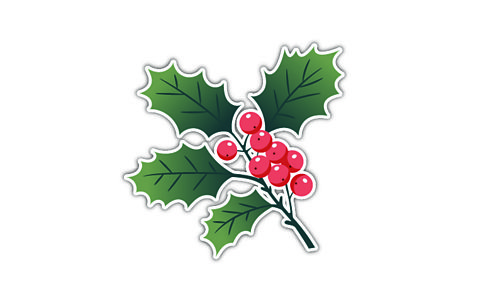 An illustration of holly.