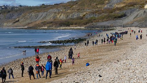 Image of people walking on a beach in Lyme Regis