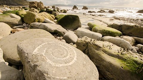 Rocks near the sea
