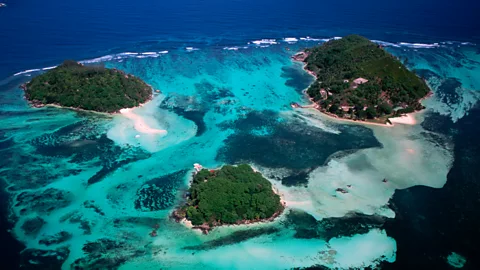 Getty Images The Seychelles experienced a major whale comeback after establishing marine protected areas (Credit: Getty Images)