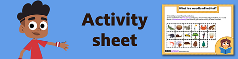 Download the activity sheet