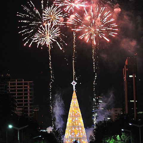 A lit-up Christmas tree with fireworks above it.