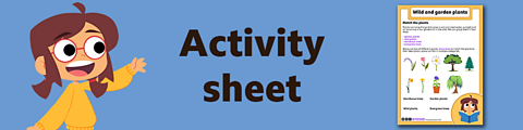 Download the activity sheet
